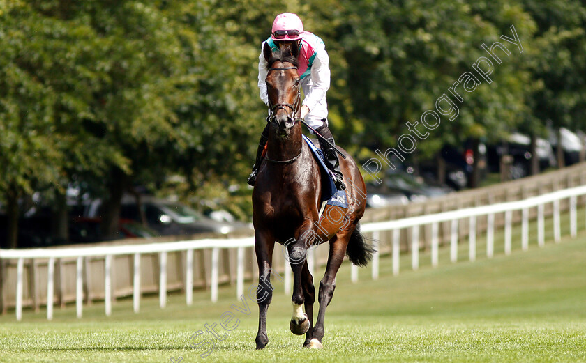 Mirage-Dancer-0002 
 MIRAGE DANCER (Ryan Moore)
Newmarket 11 Jul 2019 - Pic Steven Cargill / Racingfotos.com