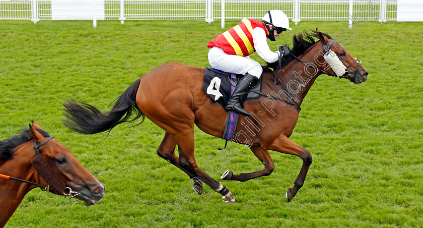 The-Game-Is-On-0006 
 THE GAME IS ON (Guy Mitchell) wins The Gay Kindersley Amateur Jockeys' Handicap Div1
Goodwood 30 Aug 2020 - Pic Steven Cargill / Racingfotos.com