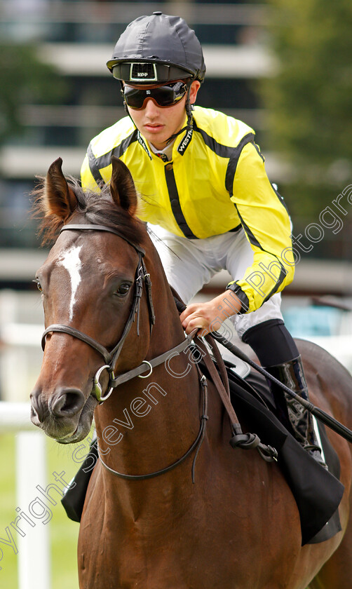 Greatness-Awaits-0001 
 GREATNESS AWAITS (George Bass)
Newbury 13 Aug 2021 - Pic Steven Cargill / Racingfotos.com