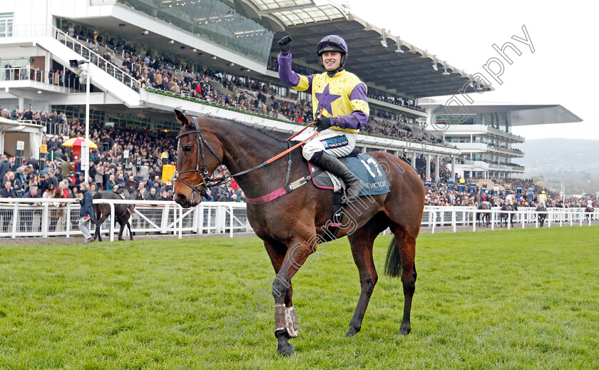 Happy-Diva-0014 
 HAPPY DIVA (Richard Patrick) after The BetVictor Gold Cup
Cheltenham 16 Nov 2019 - Pic Steven Cargill / Racingfotos.com