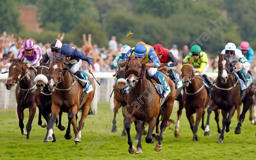 The-Green-Man-0005 
 THE GREEN MAN (Kaiya Fraser) wins The Clean Up With PPS Handicap
York 17 Jun 2023 - Pic Steven Cargill / Racingfotos.com