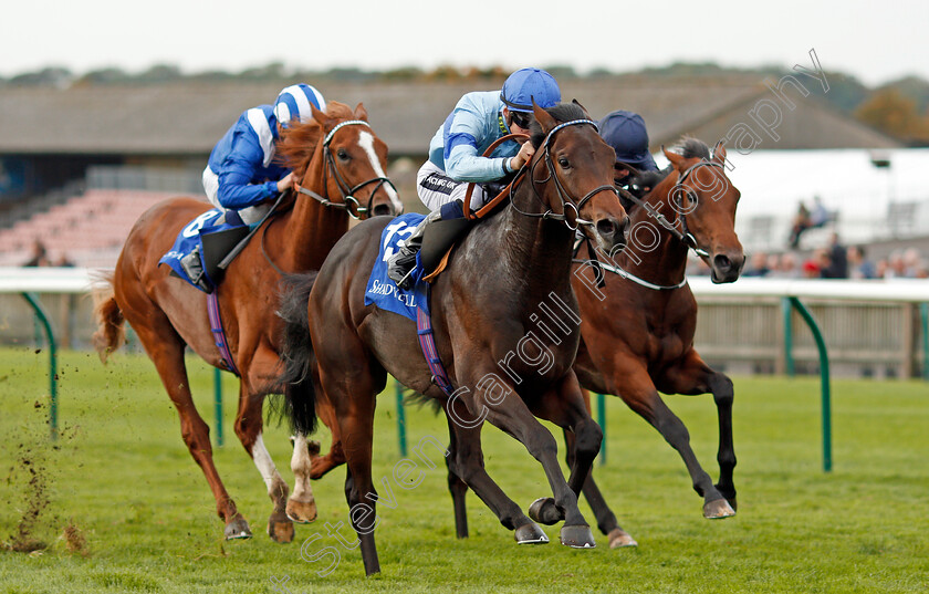 Thrave-0003 
 THRAVE (Harry Bentley) wins The Derrinstown British EBF Maiden Stakes Newmarket 29 Sep 2017 - Pic Steven Cargill / Racingfotos.com