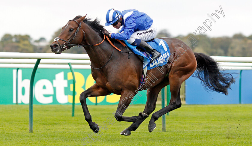 Mustashry-0004 
 MUSTASHRY (Jim Crowley) wins The Godolphin Std & Stable Staff Awards Challenge Stakes
Newmarket 11 Oct 2019 - Pic Steven Cargill / Racingfotos.com