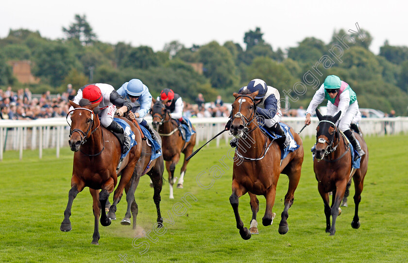 Forbearance-0001 
 FORBEARANCE (right, Hollie Doyle) beats DOMINO DARLING (left) in The British EBF & Sir Henry Cecil Galtres Stakes
York 19 Aug 2021 - Pic Steven Cargill / Racingfotos.com