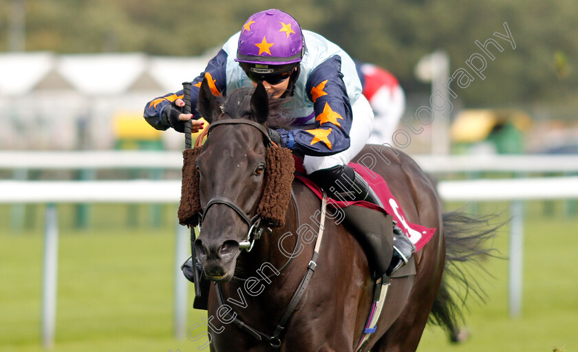 Hyperfocus-0007 
 HYPERFOCUS (Rachel Richardson) wins The More Ways To Win On Betfair Handicap
Haydock 4 Sep 2020 - Pic Steven Cargill / Racingfotos.com