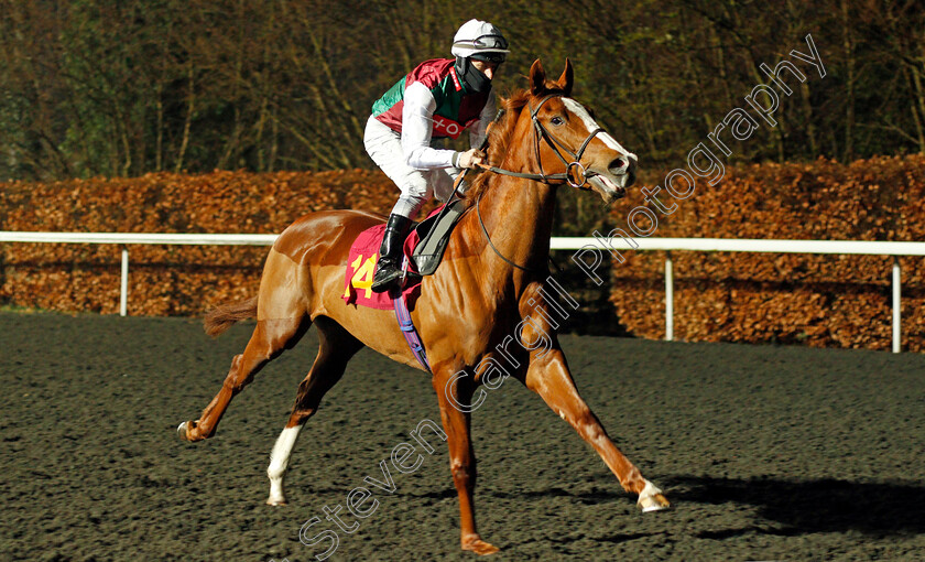 Velvet-And-Steel-0001 
 VELVET AND STEEL (Richard Kingscote)
Kempton 3 Mar 2021 - Pic Steven Cargill / Racingfotos.com