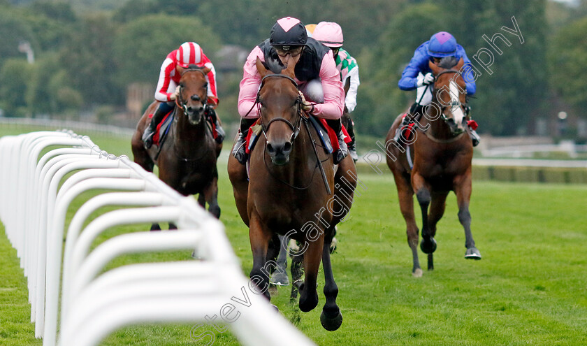 Mr-Monaco-0003 
 MR MONACO (Hector Crouch) wins The My Pension Expert Handicap
Sandown 8 Aug 2024 - Pic Steven Cargill / Racingfotos.com