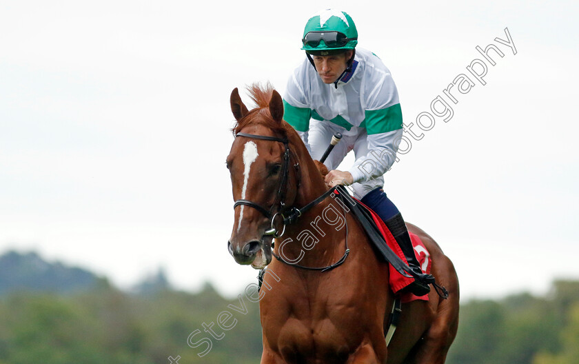 Betelgeuse-0001 
 BETELGEUSE (Jim Crowley)
Sandown 8 Aug 2024 - Pic Steven Cargill / Racingfotos.com