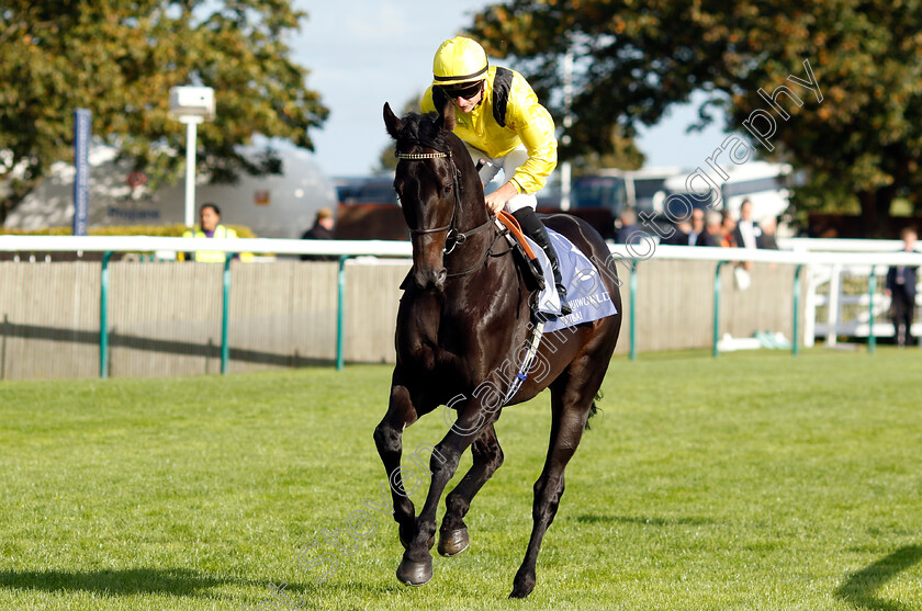 Maljoom-0001 
 MALJOOM (Tom Marquand)
Newmarket 29 Sep 2023 - Pic Steven Cargill / Racingfotos.com