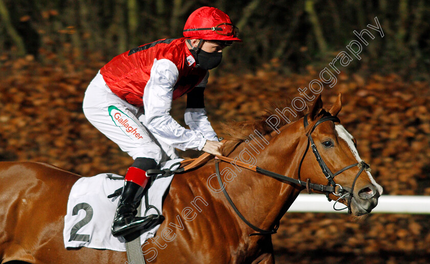 Bonnie-Lad-0001 
 BONNIE LAD (Shane Kelly)
Kempton 13 Jan 2021 - Pic Steven Cargill / Racingfotos.com