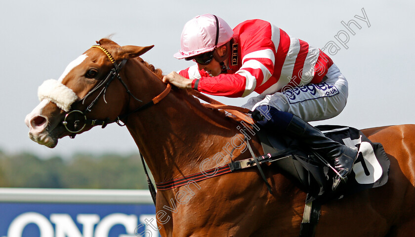 Havagomecca-0004 
 HAVAGOMECCA (David Probert) wins The Berenberg October Club Supporting Cares Family Fillies Handicap
Ascot 23 Jul 2021 - Pic Steven Cargill / Racingfotos.com