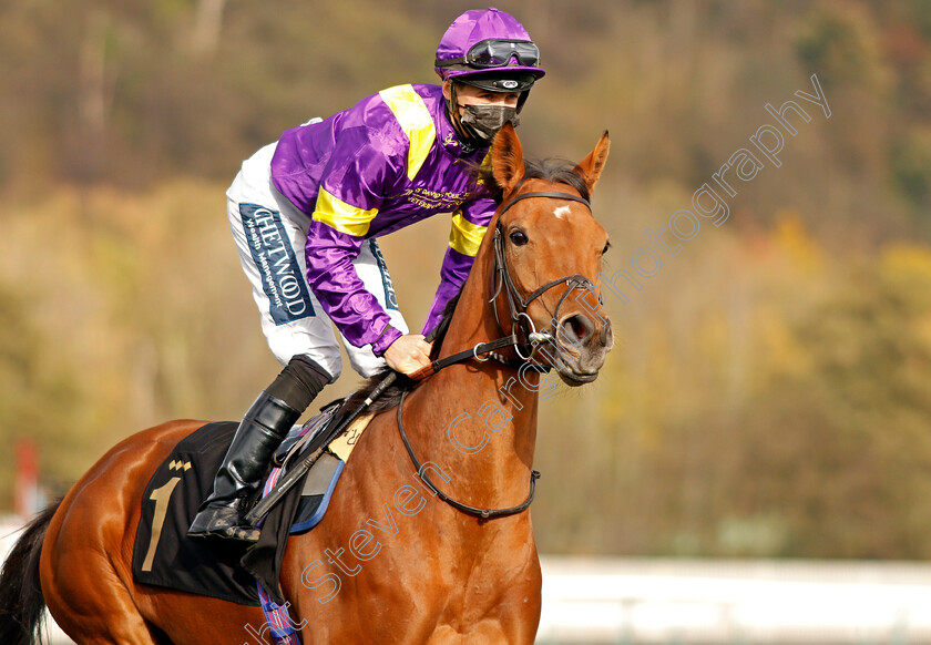 Aveta-0001 
 AVETA (Harry Bentley)
Nottingham 4 Nov 2020 - Pic Steven Cargill / Racingfotos.com