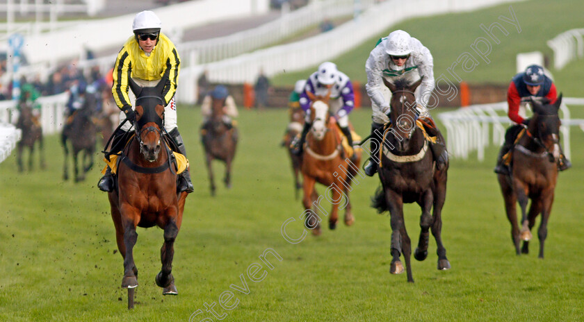 Allmankind-0009 
 ALLMANKIND (left, Harry Skelton) wins The JCB Triumph Trial Juvenile Hurdle
Cheltenham 16 Nov 2019 - Pic Steven Cargill / Racingfotos.com