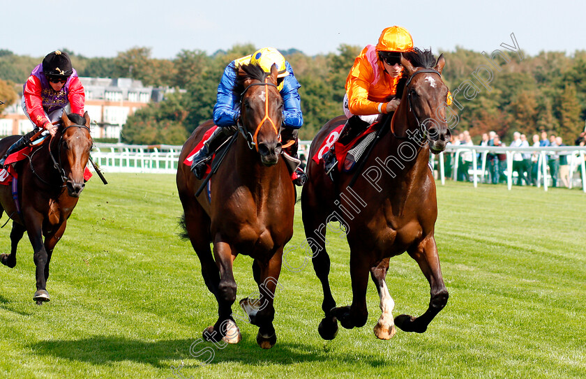 Rajinsky-0005 
 RAJINSKY (right, Richard Kingscote) beats WALKINTHESAND (centre) in The Bet & Watch At 188bet.co.uk EBF Maiden Stakes Div1
Sandown 31 Aug 2018 - Pic Steven Cargill / Racingfotos.com