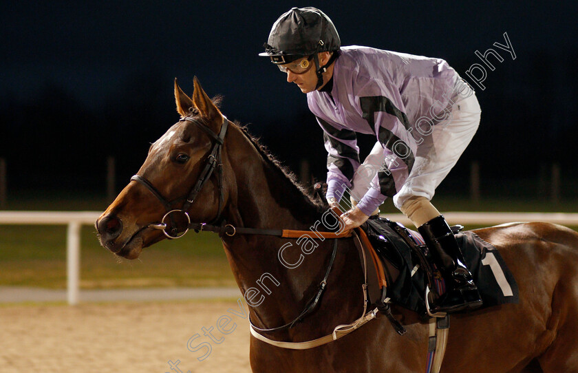 Asdaa-0002 
 ASDAA (Joe Fanning) winner of The Bet toteexacta At totesport.com Handicap
Chelmsford 11 Jan 2020 - Pic Steven Cargill / Racingfotos.com