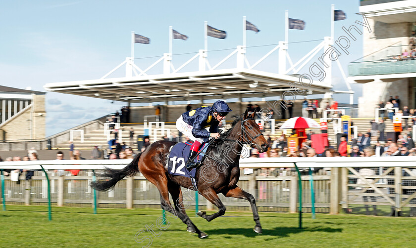 Wild-Impala-0001 
 WILD IMPALA (Frankie Dettori) wins The Rewards4racing Fillies Novice Median Auction Stakes Div1 Newmarket 25 Oct 2017 - Pic Steven Cargill / Racingfotos.com