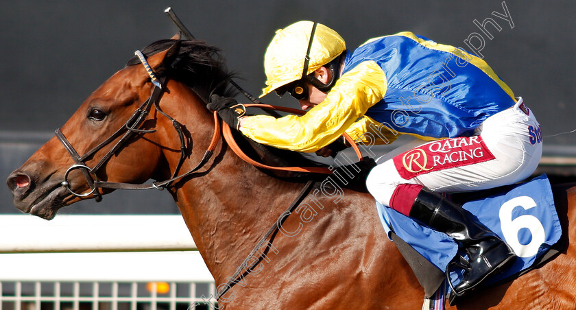 Starfighter-0006 
 STARFIGHTER (Oisin Murphy) wins The Lester Brunt Wealth Management Handicap
Salisbury 5 Sep 2019 - Pic Steven Cargill / Racingfotos.com