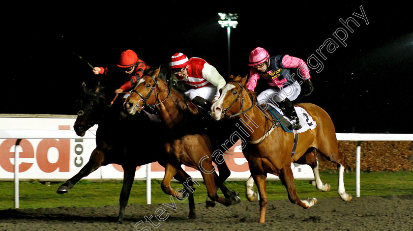 Brains-0002 
 BRAINS (left, Nicola Currie) beats HEATHERDOWN (centre) and LEE ROY (right) in The Introducing Racing TV Handicap
Kempton 5 Jan 2019 - Pic Steven Cargill / Racingfotos.com