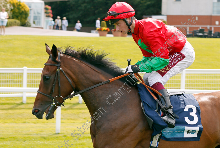 Romsey-0002 
 ROMSEY (Oisin Murphy)
Sandown 25 Jul 2019 - Pic Steven Cargill / Racingfotos.com