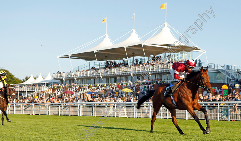 Vino-Victrix-0004 
 VINO VICTRIX (Benoit de la Sayette) wins The William Hill Scratch Of The Day Handicap
Goodwood 26 Aug 2022 - Pic Steven Cargill / Racingfotos.com