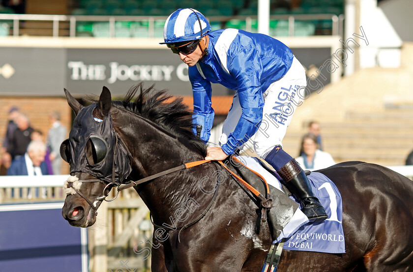 Mutasaabeq-0009 
 MUTASAABEQ (Jim Crowley) winner of The Al Basti Equiworld Dubai Joel Stakes
Newmarket 29 Sep 2023 - Pic Steven Cargill / Racingfotos.com