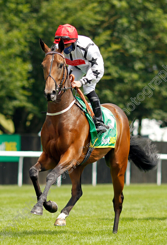 Honey-Sweet-0001 
 HONEY SWEET (P J McDonald)
Newmarket 9 Jul 2021 - Pic Steven Cargill / Racingfotos.com