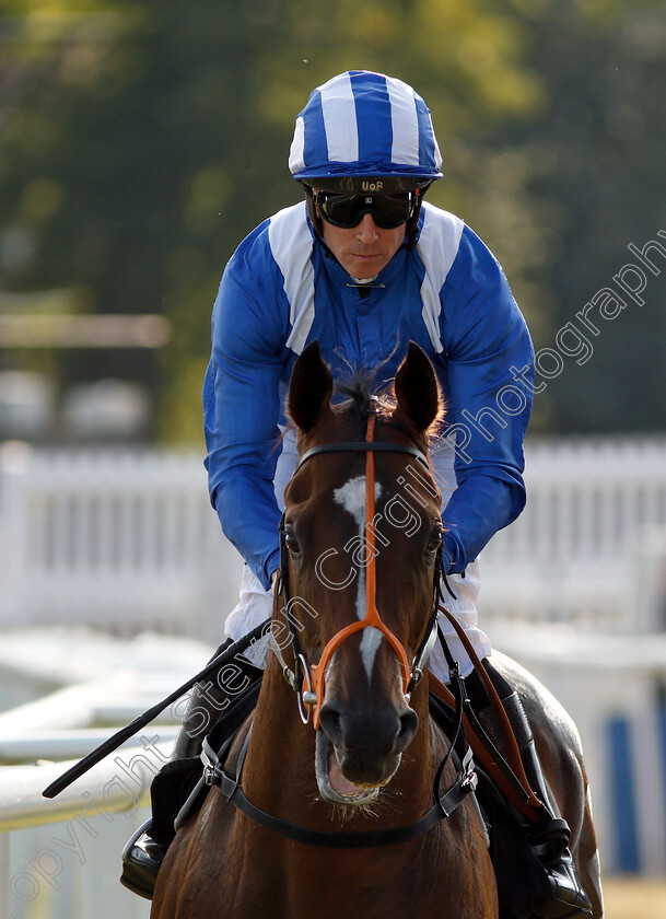 Motafaawit-0002 
 MOTAFAAWIT (Jim Crowley) 
Newbury 26 Jul 2018 - Pic Steven Cargill / Racingfotos.com