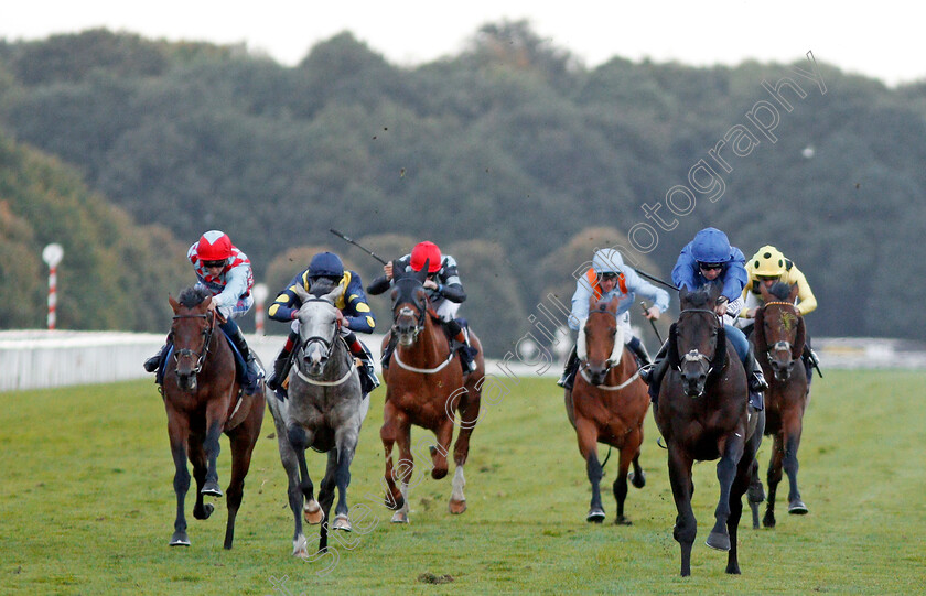 Game-Starter-0001 
 GAME STARTER (Oisin Murphy) wins The Marra Falcons Handicap Doncaster 16 Sep 2017 - Pic Steven Cargill / Racingfotos.com