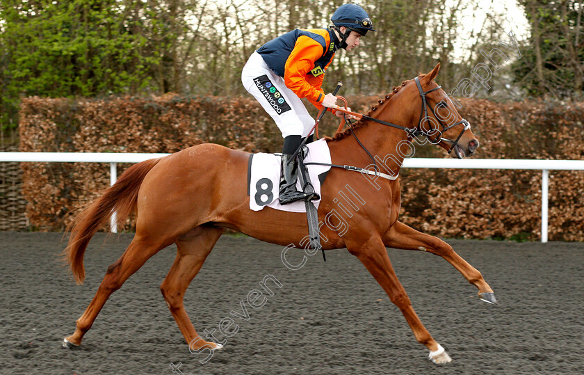 Oloroso-0001 
 OLOROSO (Joshua Bryan) winner of The 100% Profit Boost At 32redsport.com Handicap
Kempton 23 Mar 2019 - Pic Steven Cargill / Racingfotos.com