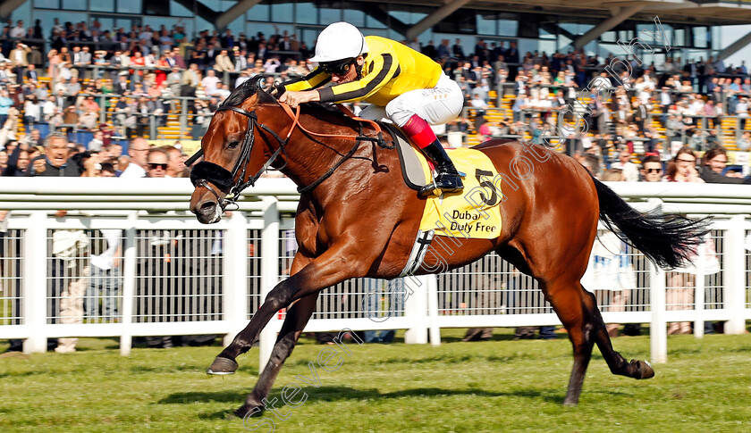 James-Garfield-0005 
 JAMES GARFIELD (Frankie Dettori) wins The Dubai Duty Free Mill Reef Stakes Newbury 23 Sep 2017 - Pic Steven Cargill / Racingfotos.com