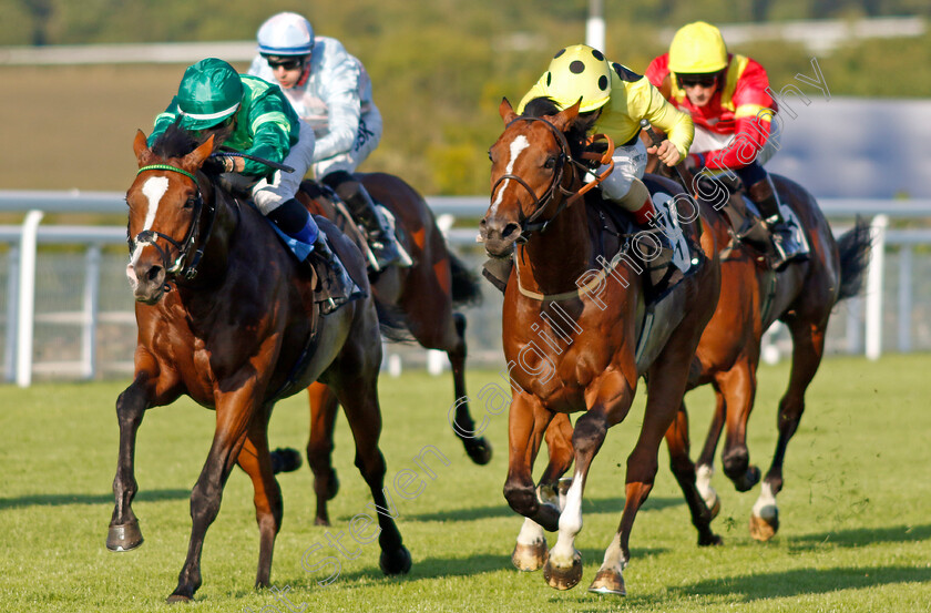 The-Parent-0005 
 THE PARENT (right, Andrea Atzeni) beats SIR LAURENCE GRAFF (left) in The British EBF Novice Stakes
Goodwood 26 Aug 2022 - Pic Steven Cargill / Racingfotos.com