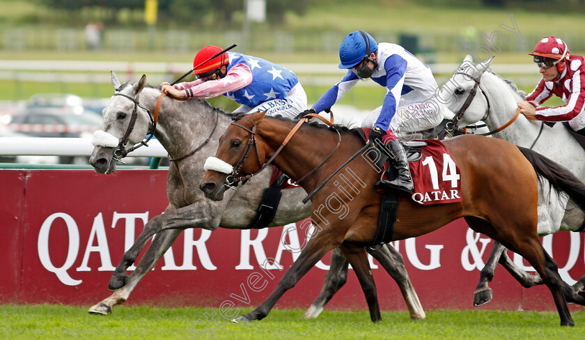 Hoggar-De-L Ardus-0004 
 HOGGAR DE L'ARDUS (left, Michael Barzalona) beats LADY PRINCESS (right) in The Qatar Arabian World Cup
Longchamp 3 Oct 2021 - Pic Steven Cargill / Racingfotos.com