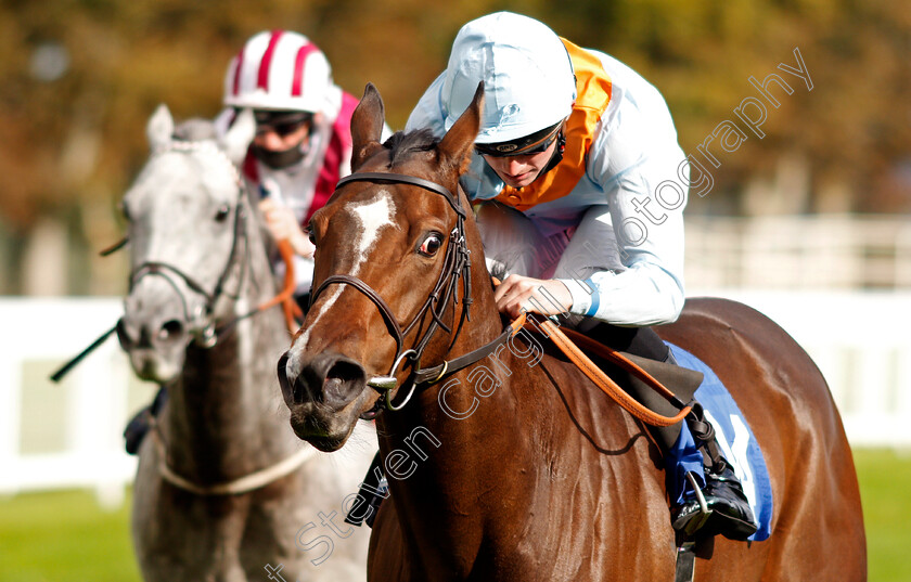 Ice-Station-Zebra-0005 
 ICE STATION ZEBRA (Rob Hornby) wins The Byerley Stud Handicap
Salisbury 1 Oct 2020 - Pic Steven Cargill / Racingfotos.com