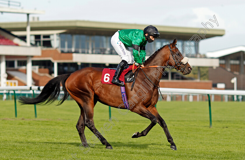 Kaser-0001 
 KASER (P J McDonald)
Haydock 4 Sep 2020 - Pic Steven Cargill / Racingfotos.com