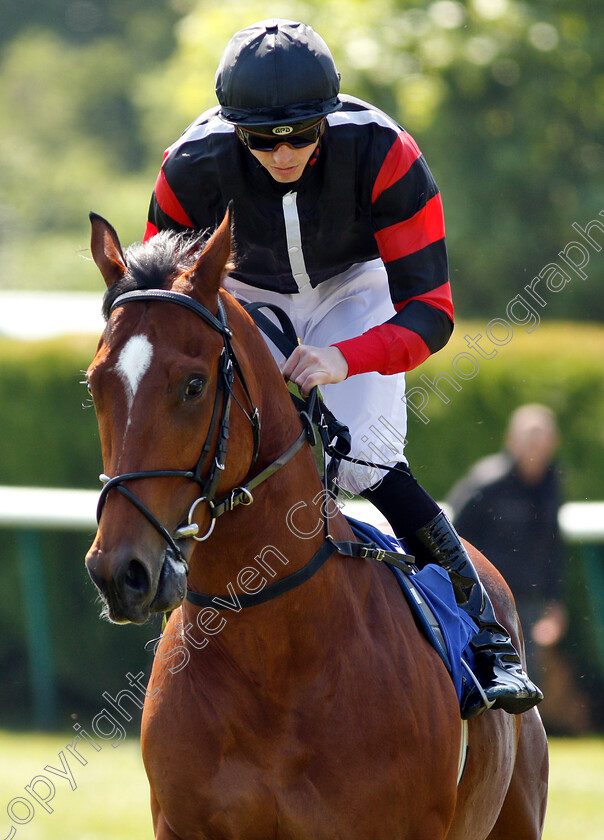 Barend-Boy-0001 
 BAREND BOY (James Doyle) 
Nottingham 22 May 2018 - Pic Steven Cargill / Racingfotos.com