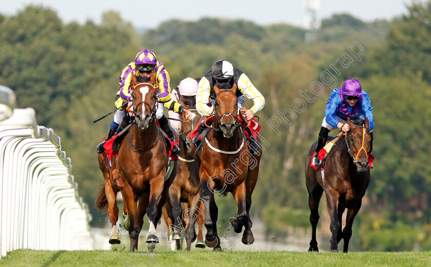 Skyman-0005 
 SKYMAN (left, Jason Watson) beats DARGEL (centre) in The Betway Live Casino Handicap
Sandown 30 Aug 2019 - Pic Steven Cargill / Racingfotos.com