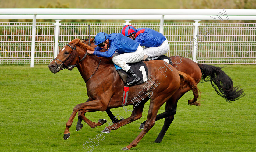 Act-Of-Wisdom-0004 
 ACT OF WISDOM (James Doyle) wins The Download The Tote Placepot App Future Stayers EBF Maiden Stakes
Goodwood 23 Sep 2020 - Pic Steven Cargill / Racingfotos.com