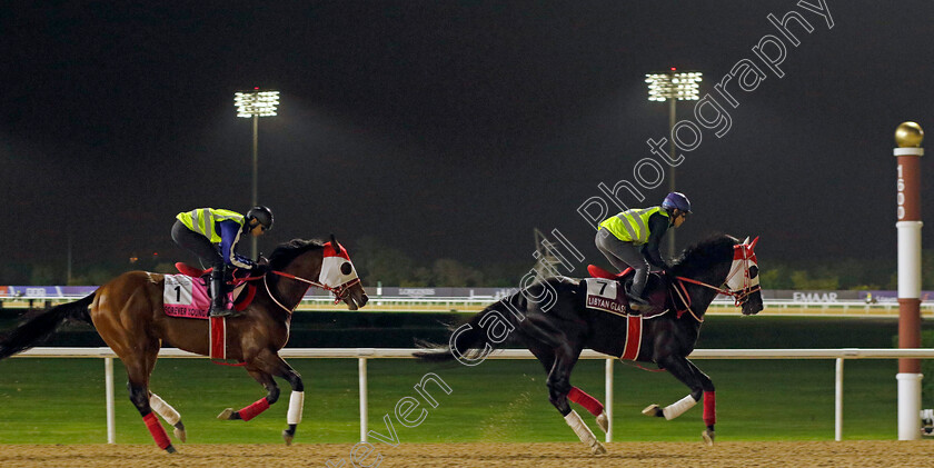 Libyan-Glass-and-Forever-Young-0002 
 LIBYAN GLASS leads FOREVER YOUNG training at Dubai World Cup
Meydan Dubai 26 Mar 2024 - Pic Steven Cargill / Racingfotos.com