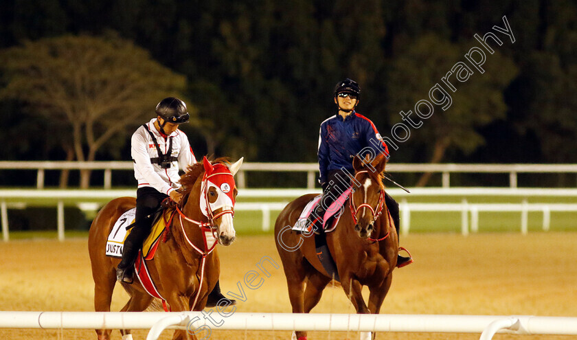 Justin-and-Continuar-0001 
 JUSTIN (left) training for The Golden Shaheen with CONTINUAR (right) training for the UAE Derby
Meydan, Dubai, 22 Mar 2023 - Pic Steven Cargill / Racingfotos.com