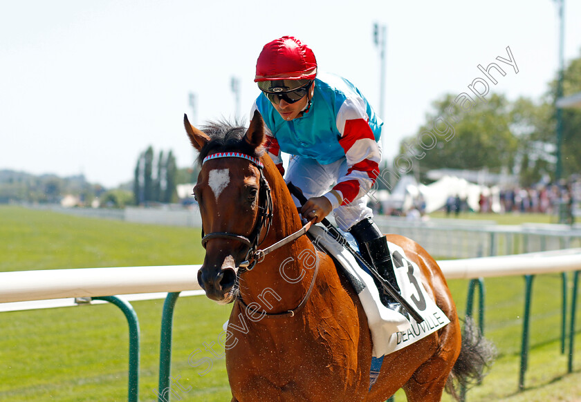 Nolito-0001 
 NOLITO (Maxime Guyon)
Deauville 6 Aug 2022 - Pic Steven Cargill / Racingfotos.com