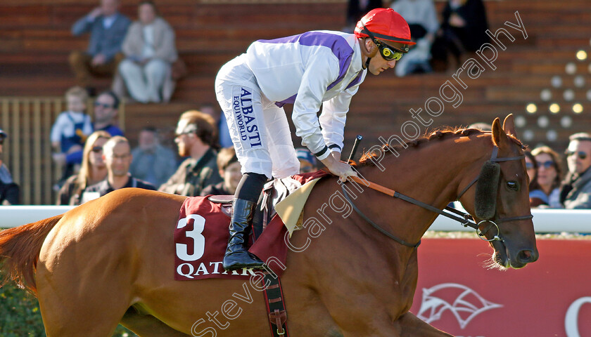 Caramelito-0001 
 CARAMELITO (Theo Bachelot)
Longchamp 5 Oct 2024 - Pic Steven Cargill / Racingfotos.com