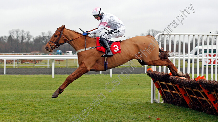 King-Cnut-0001 
 KING CNUT (Tom Cannon) Kempton 27 Dec 2017 - Pic Steven Cargill / Racingfotos.com