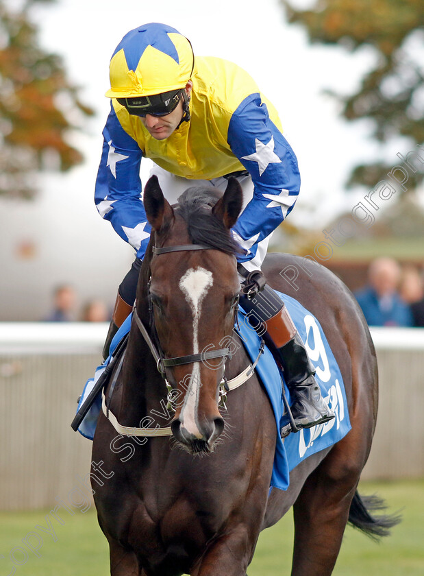 Small-Oasis-0001 
 SMALL OASIS (David Nolan)
Newmarket 7 Oct 2022 - Pic Steven Cargill / Racingfotos.com