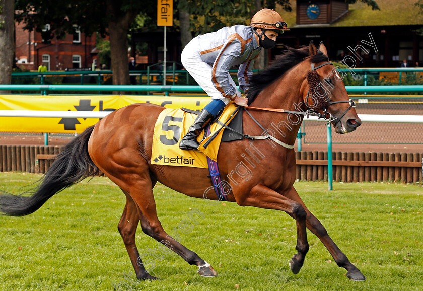 Summerghand-0001 
 SUMMERGHAND (William Buick)
Haydock 5 Sep 2020 - Pic Steven Cargill / Racingfotos.com