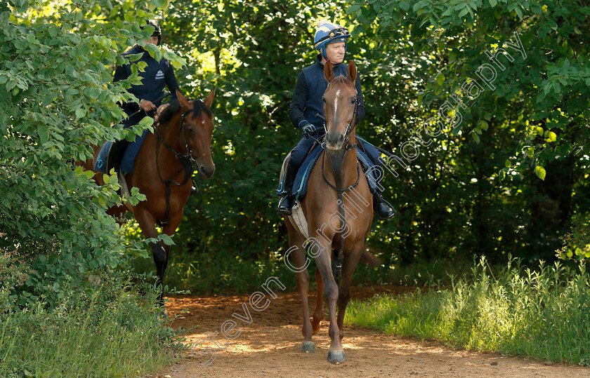 Richard-Hills-0001 
 Richard Hills preparing arabian horses for the DIAR at Newbury
Newmarket 28 Jun 2019 - Pic Steven Cargill / Racingfotos.com