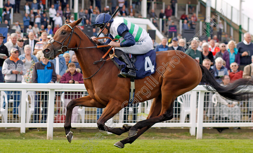 Glenfinnan-0001 
 GLENFINNAN (Ryan Moore) wins The British Stallion Studs EBF Maiden Stakes
Yarmouth 15 Sep 2022 - Pic Steven Cargill / Racingfotos.com