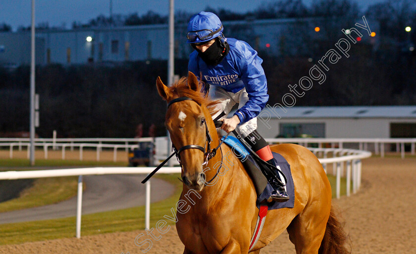 Echo-Point-0002 
 ECHO POINT (Christian Howarth)
Wolverhampton 12 Mar 2021 - Pic Steven Cargill / Racingfotos.com