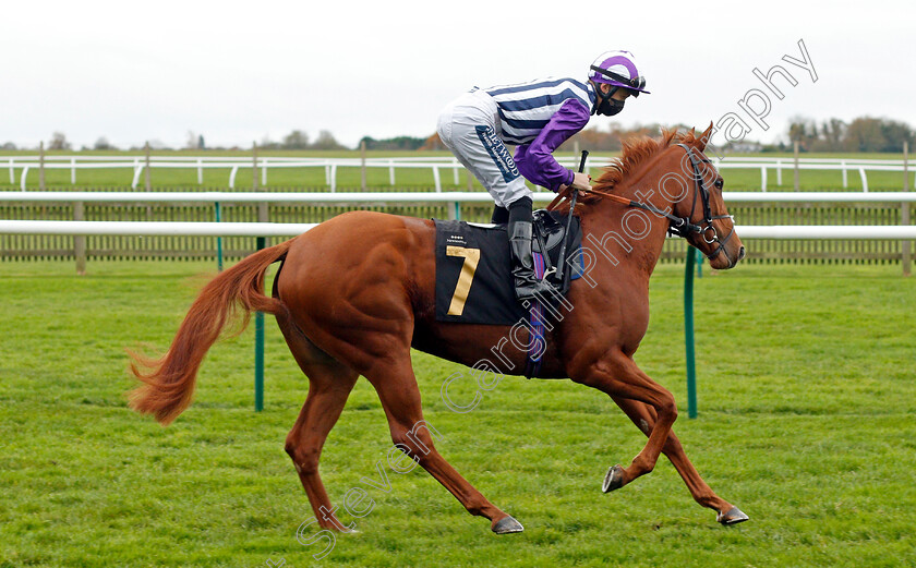 Mishal-Star-0001 
 MISHAL STAR (Harry Bentley)
Newmarket 30 Oct 2020 - Pic Steven Cargill / Racingfotos.com