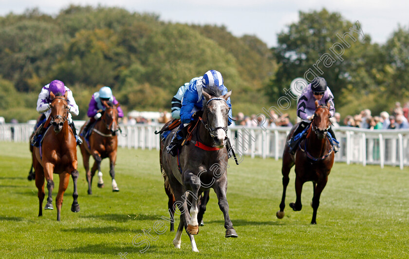 Ribhi-0006 
 RIBHI (Jim Crowley) wins The Byerley Stud British EBF Novice Stakes Div2
Salisbury 11 Aug 2021 - Pic Steven Cargill / Racingfotos.com