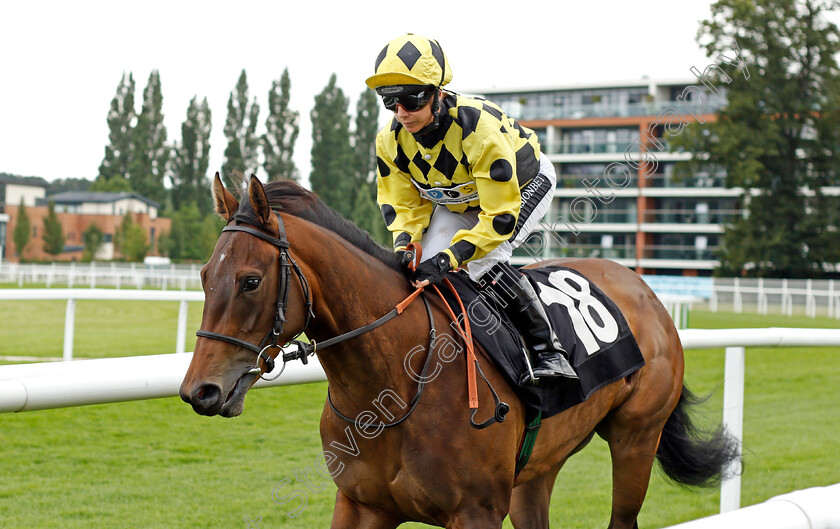 Silken-Petals-0001 
 SILKEN PETALS (Hayley Turner)
Newbury 13 Aug 2021 - Pic Steven Cargill / Racingfotos.com